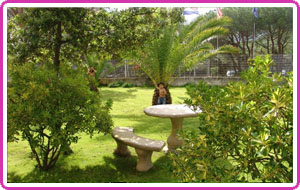 Il giardino © MEROSMERE Srl